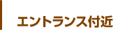エントランス付近 エントランス付近